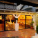 Domus 1*