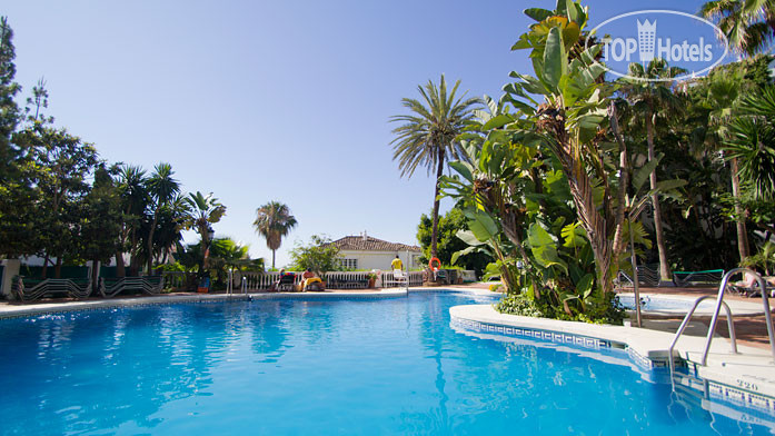 New photos from tourists Royal Oasis Club at Pueblo Quinta 2*