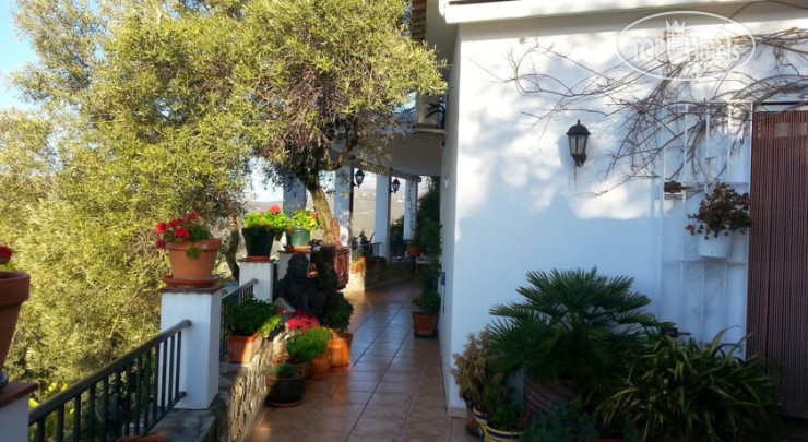 New photos from tourists Villa Andalucia