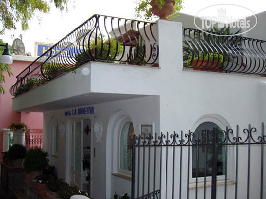 Фото La Minerva