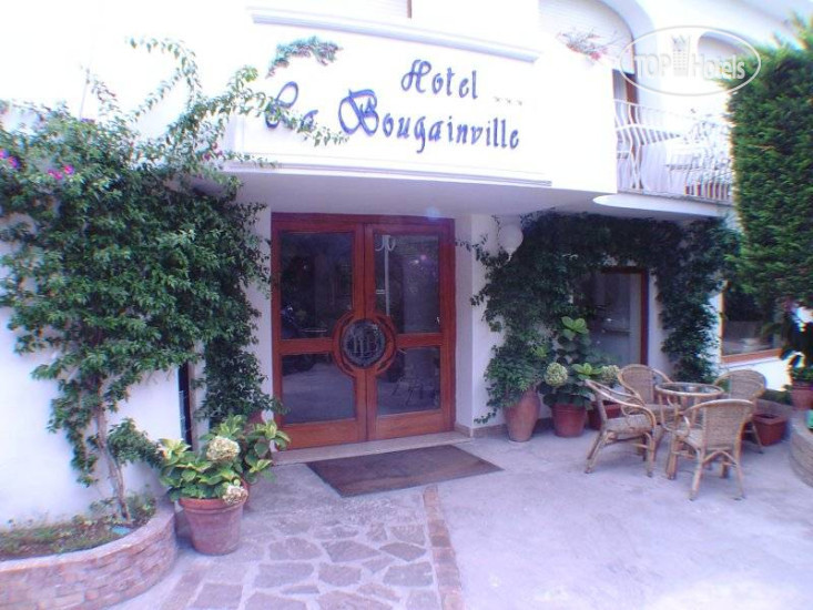 Фото Bougainville