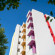 Фото Rainbow Hotel