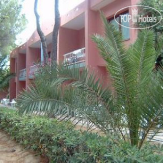 Фото New Barcavela