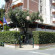 Photos Le Ginestre