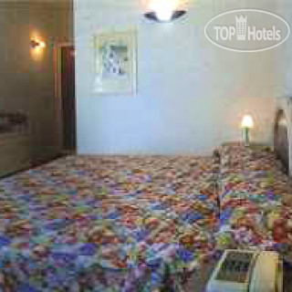 Photos L'Oasi Castiglione