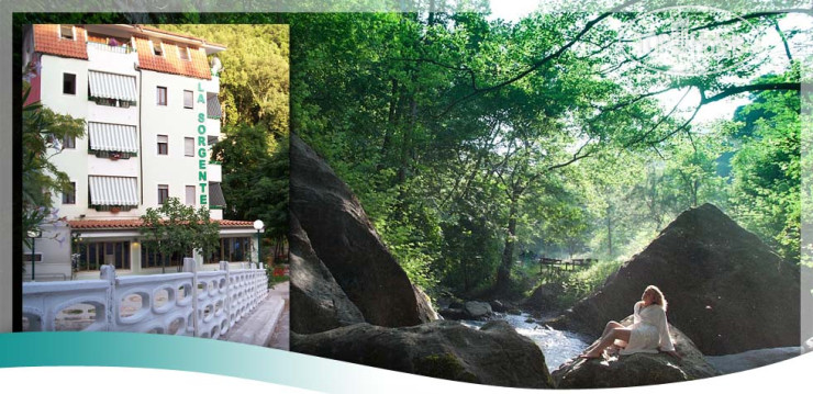 Hotelier's photos Hotel la Sorgente 3*