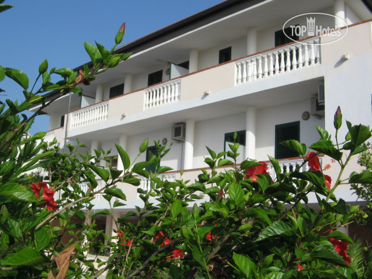 New photos from tourists San Domenico Resort 3*