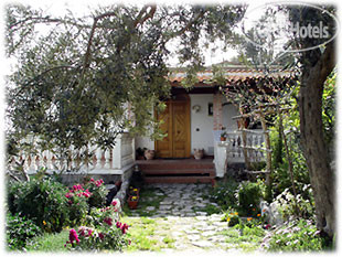 Hotelier's photos Le Palme 4*