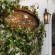 Photos Royal Prisco hotel Positano