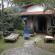 Фото Villa Assunta