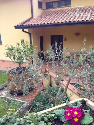Photos  Rose E Viole B&B