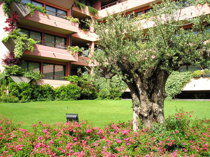 Hotel photo Residence il Sogno APT