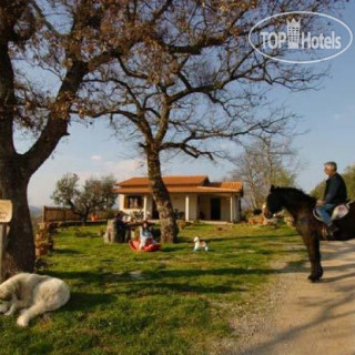 Фото San Vincenzo