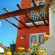 Фото Bougainville