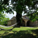 Фото Castel Bigozzi