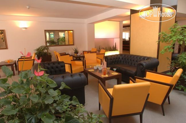 New photos from tourists Best Western City 4*