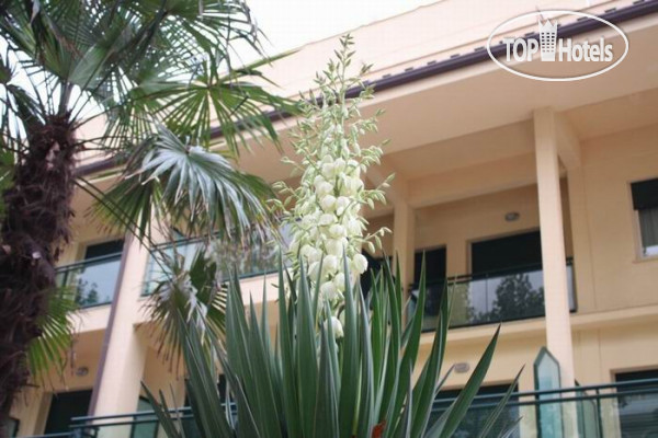 Hotel photo Gadames 3*