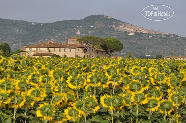Hotel photo Agriturismo Le Terre Dei Cavalieri 