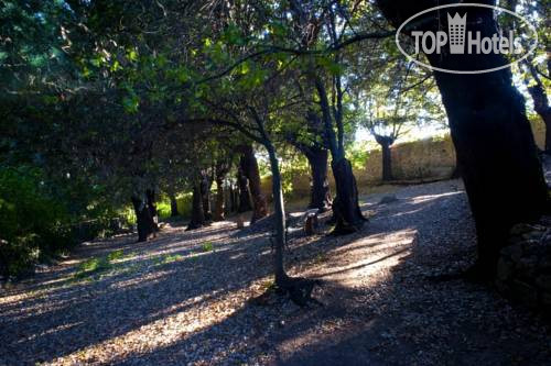 New photos from tourists Villa San Lucchese 4*