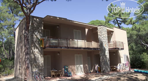 New photos from tourists Riva del Sole 4*