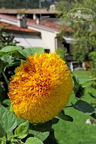 Photos La Betulla B&B