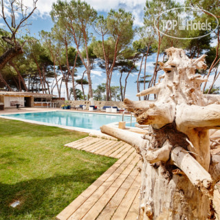 Photos Praia Art Resort