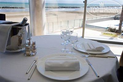 New photos from tourists Sea Lion 4*