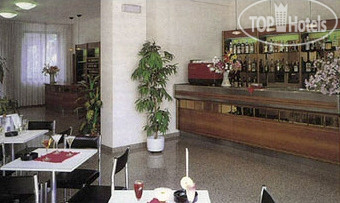 New photos from tourists International hotel Tortoreto Lido 3*