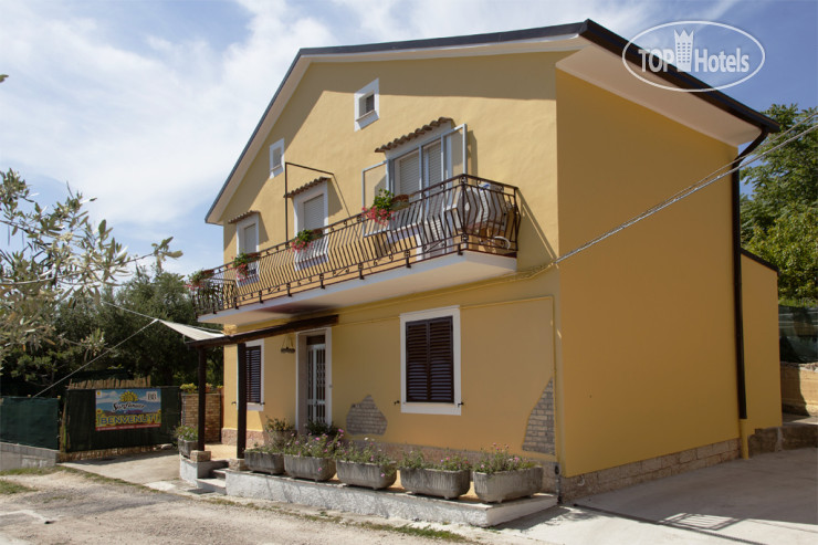 Hotel photo Sunflower B&B 