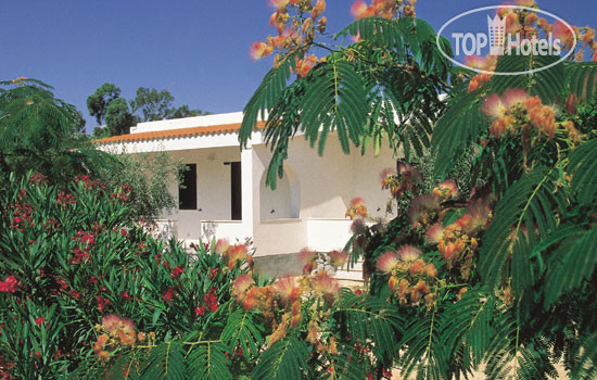 New photos from tourists Sea Garden Club 4*