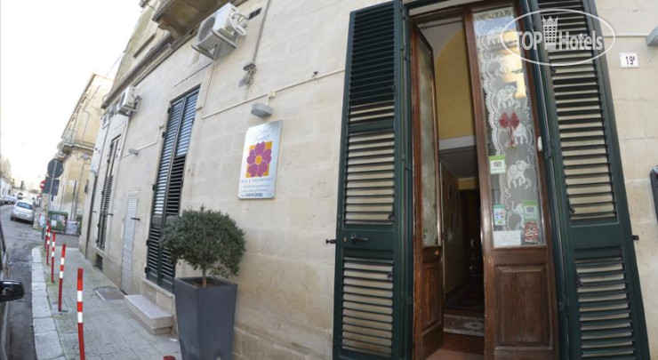 Hotel photo Dolce Primula Bed & Breakfast  