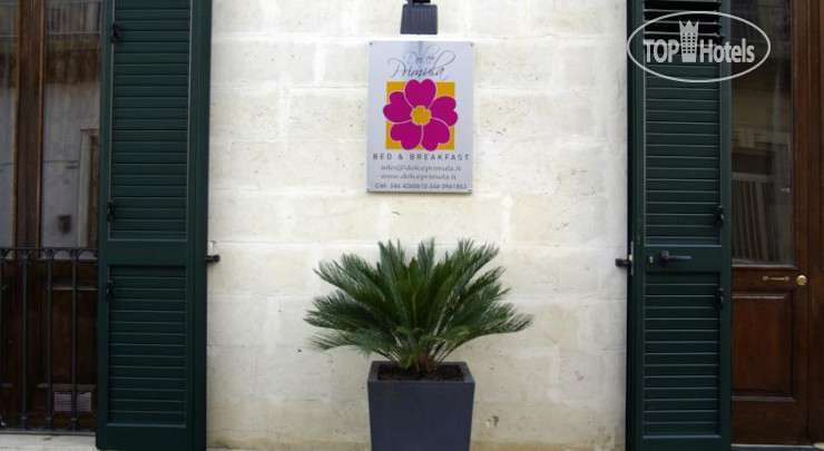 Новые добавленные фото туристов Dolce Primula Bed & Breakfast  