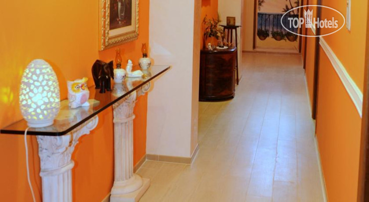 New photos from tourists Tropical Hotel 3*