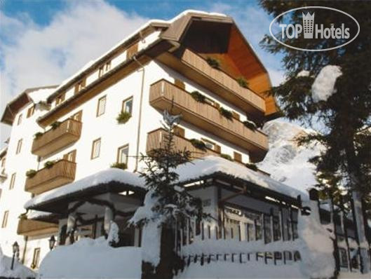 New photos from tourists Miramonti hotel San Martino di Castrozza 3*