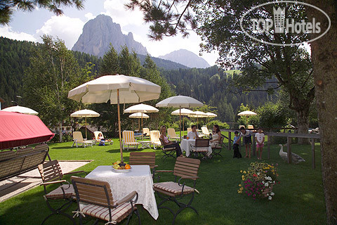 New photos from tourists Dolomiti Hotel Dosses 4*