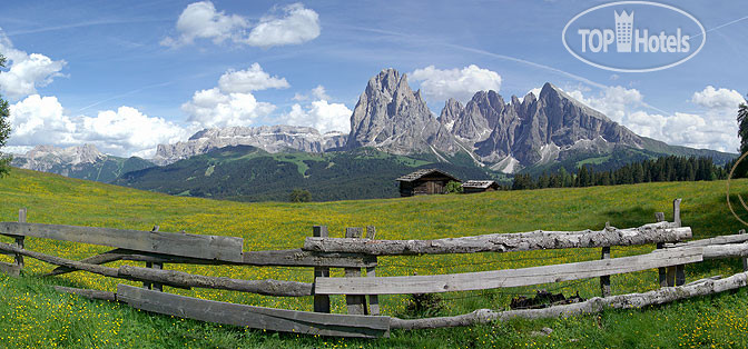 New photos from tourists Ronce 3*