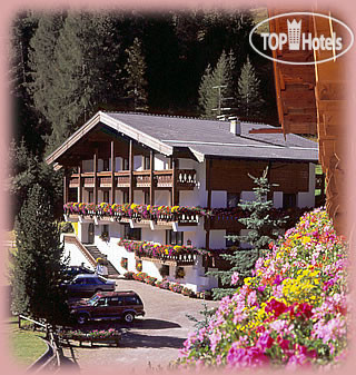 Hotelier's photos Garni Dolomie 3*