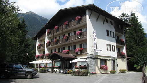 Hotelier's photos Edelweiss Pinzolo 3*