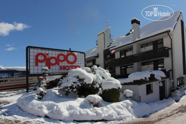 Hotelier's photos Pippo 3*