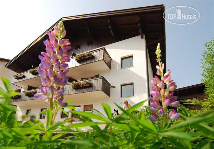 Hotel photo Garny Savoy 3*