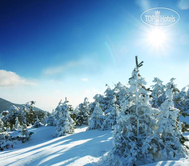 New photos from tourists Naturhotel Wieserhof 3*