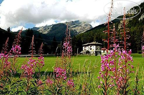 Hotel photo Le Campagnol 2*