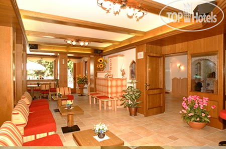 Новые добавленные фото туристов Erika hotel Madonna di Campiglio 3*