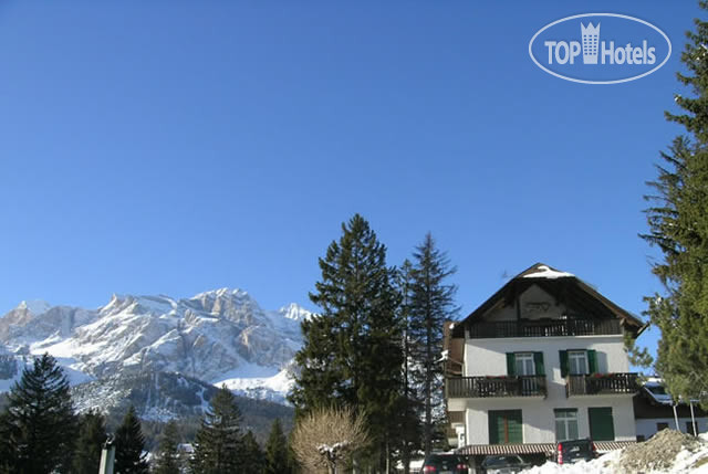New photos from tourists Oasi 2*