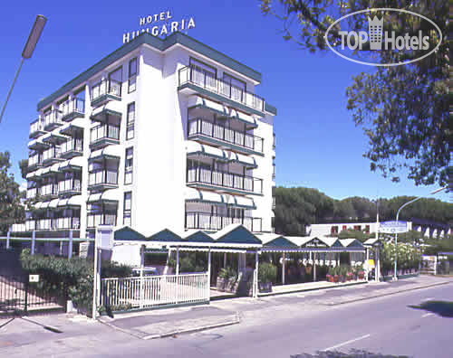 Hotelier's photos Picobello Hotel Pineta 3*