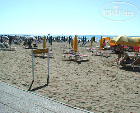 New photos from tourists Terramare 3*