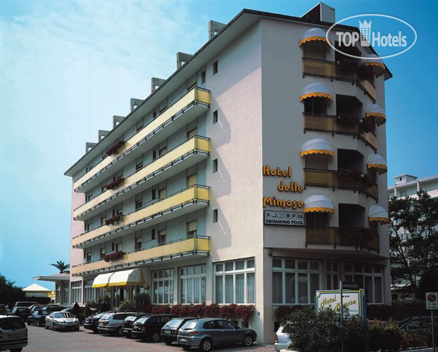 Hotel photo Delle Mimose 3*