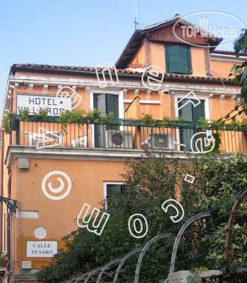 Hotelier's photos Villa Rosa 2*