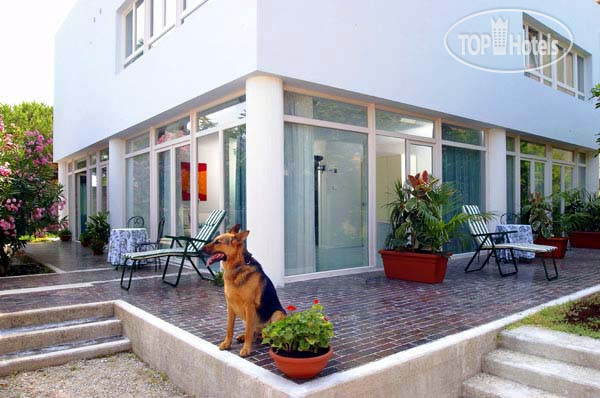Hotelier's photos Villa Paradiso 3*