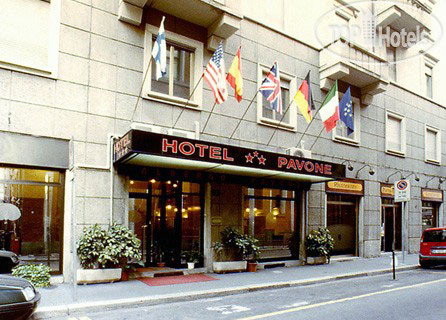 New photos from tourists Pavone Hotel 3*